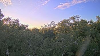 Weather camera view of Metairie Club Gardens.