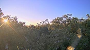 Weather camera view of Metairie Club Gardens.