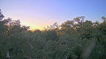 Weather camera view of Metairie Club Gardens.