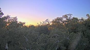 Weather camera view of Metairie Club Gardens.