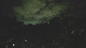 Weather camera view of Metairie Club Gardens.