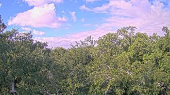 Weather camera view of Metairie Club Gardens.