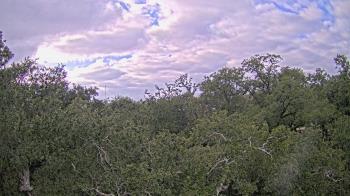 Weather camera view of Metairie Club Gardens.