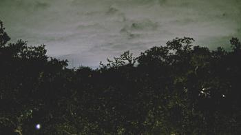 Weather camera view of Metairie Club Gardens.