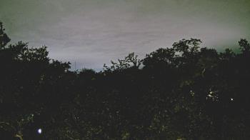 Weather camera view of Metairie Club Gardens.