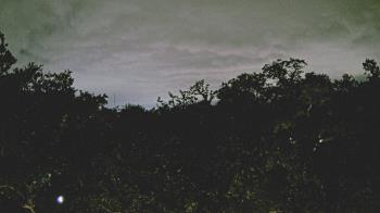 Weather camera view of Metairie Club Gardens.