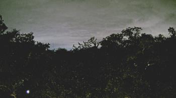 Weather camera view of Metairie Club Gardens.