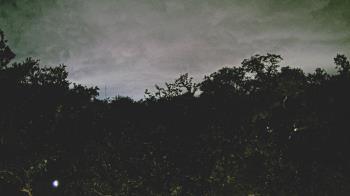 Weather camera view of Metairie Club Gardens.