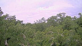 Weather camera view of Metairie Club Gardens.