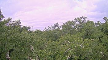 Weather camera view of Metairie Club Gardens.