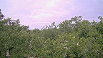 Weather camera view of Metairie Club Gardens.