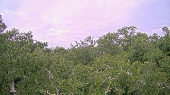 Weather camera view of Metairie Club Gardens.