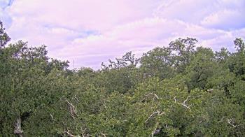 Weather camera view of Metairie Club Gardens.