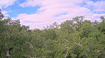 Weather camera view of Metairie Club Gardens.