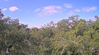 Weather camera view of Metairie Club Gardens.