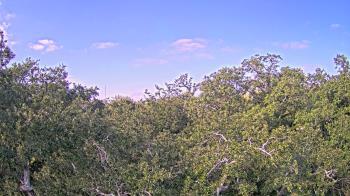 Weather camera view of Metairie Club Gardens.