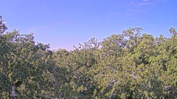 Weather camera view of Metairie Club Gardens.