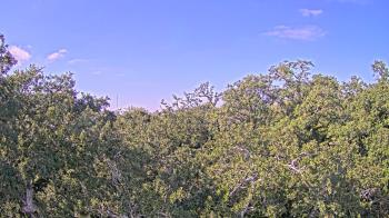Weather camera view of Metairie Club Gardens.