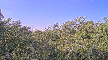 Weather camera view of Metairie Club Gardens.