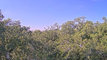 Weather camera view of Metairie Club Gardens.