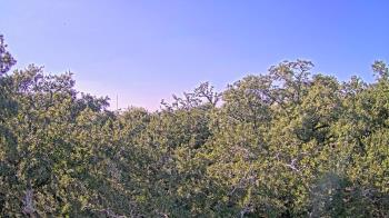 Weather camera view of Metairie Club Gardens.