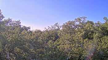 Weather camera view of Metairie Club Gardens.