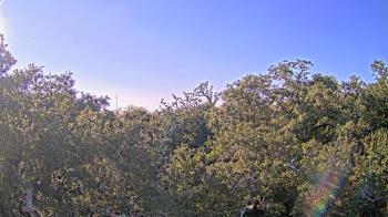 Weather camera view of Metairie Club Gardens.