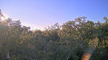 Weather camera view of Metairie Club Gardens.