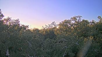 Weather camera view of Metairie Club Gardens.
