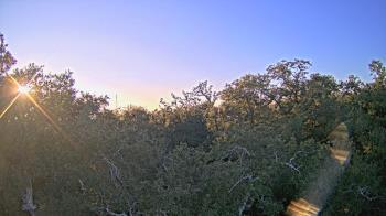 Weather camera view of Metairie Club Gardens.