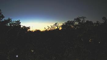 Weather camera view of Metairie Club Gardens.