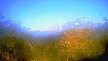 Weather camera view of Metairie Club Gardens.