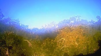 Weather camera view of Metairie Club Gardens.