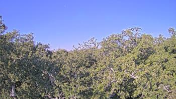 Weather camera view of Metairie Club Gardens.