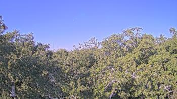 Weather camera view of Metairie Club Gardens.