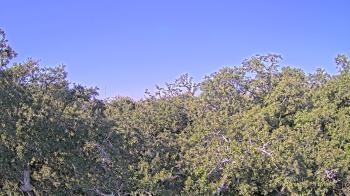 Weather camera view of Metairie Club Gardens.