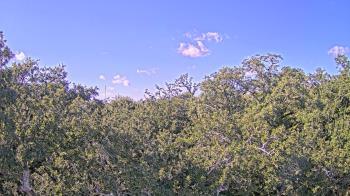 Weather camera view of Metairie Club Gardens.