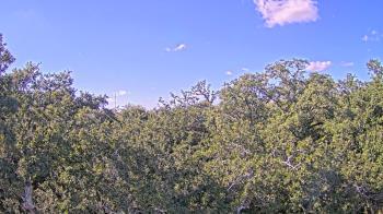 Weather camera view of Metairie Club Gardens.