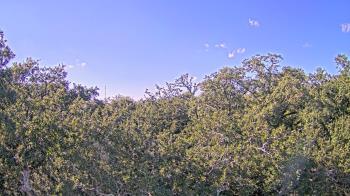 Weather camera view of Metairie Club Gardens.