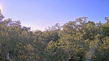 Weather camera view of Metairie Club Gardens.