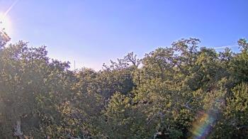 Weather camera view of Metairie Club Gardens.