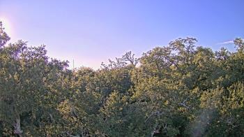 Weather camera view of Metairie Club Gardens.