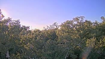 Weather camera view of Metairie Club Gardens.