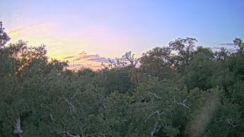 Weather camera view of Metairie Club Gardens.