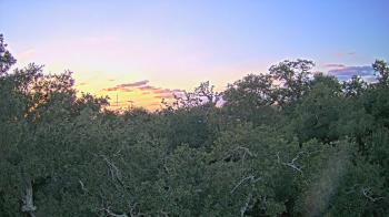 Weather camera view of Metairie Club Gardens.