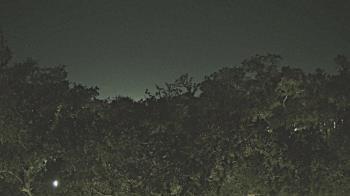 Weather camera view of Metairie Club Gardens.