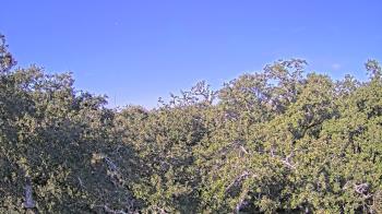 Weather camera view of Metairie Club Gardens.