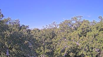 Weather camera view of Metairie Club Gardens.