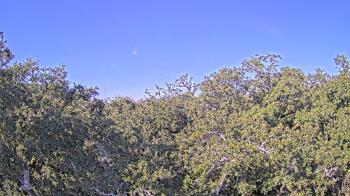 Weather camera view of Metairie Club Gardens.