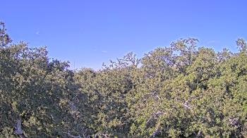 Weather camera view of Metairie Club Gardens.